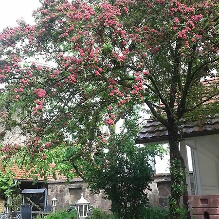 شقة Galerie Ueber Den Gaerten هيربلتسهايم