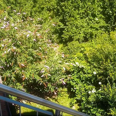 Galerie Ueber Den Gaerten شقة هيربلتسهايم