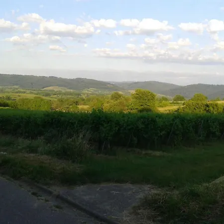 Galerie Ueber Den Gaerten *