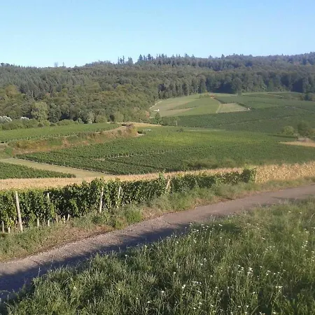 아파트 Galerie Ueber Den Gaerten 헤르볼츠하임