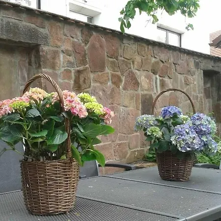 Galerie Ueber Den Gaerten Apartamento Herbolzheim