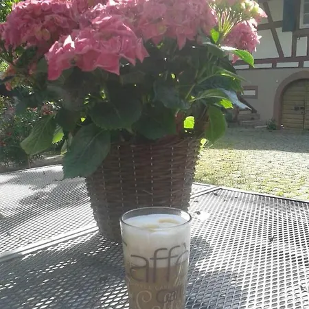 아파트 Galerie Ueber Den Gaerten *