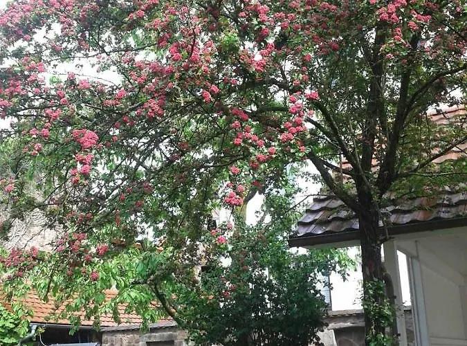 Daire Galerie Ueber Den Gaerten Herbolzheim