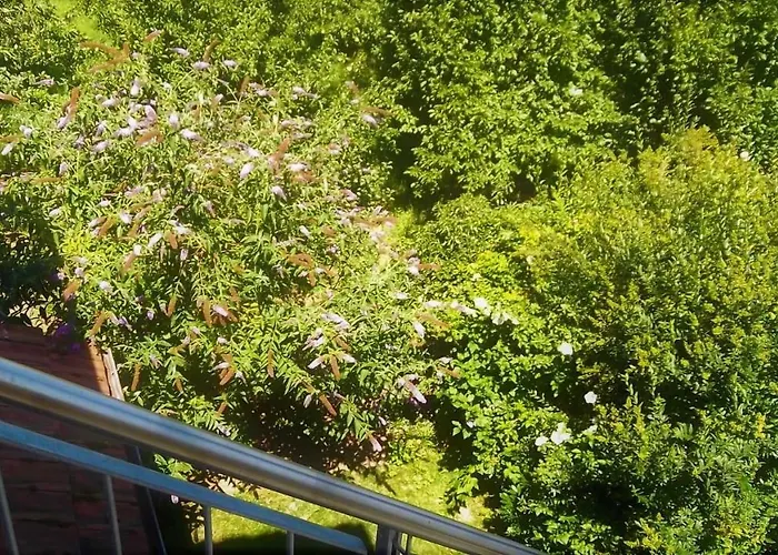 Galerie Ueber Den Gaerten Daire Herbolzheim