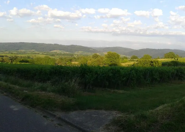 Galerie Ueber Den Gaerten *