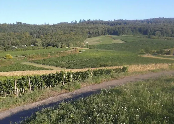 Daire Galerie Ueber Den Gaerten Herbolzheim