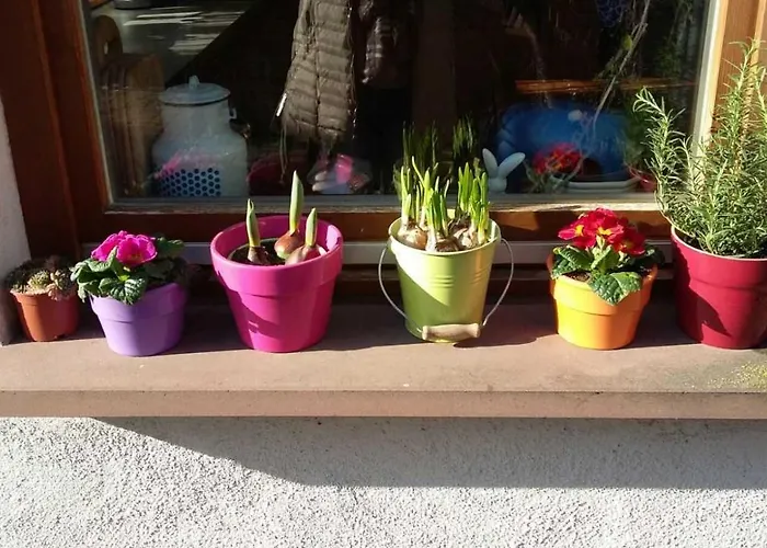 Galerie Ueber Den Gaerten Daire *