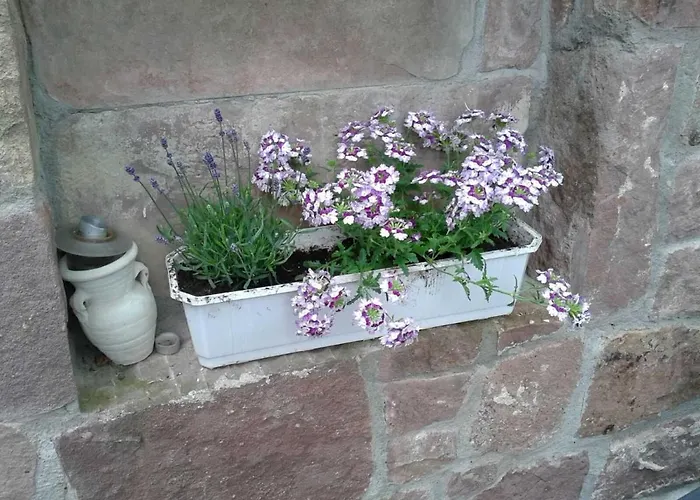 Galerie Ueber Den Gaerten Daire