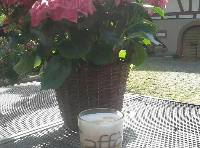 Daire Galerie Ueber Den Gaerten *